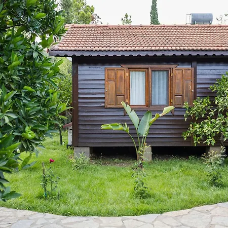 Dilek House Cirali Antalya Vilă