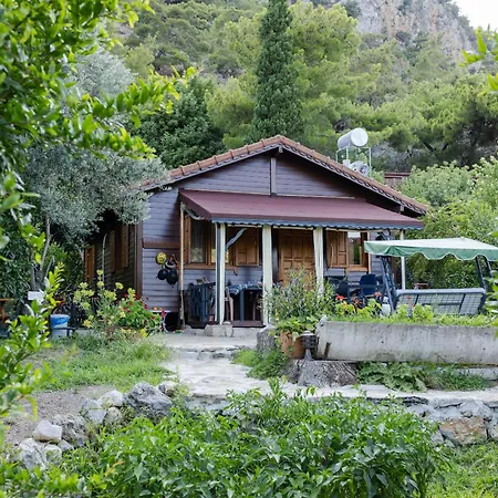 Dilek House Cirali Antalya Kemer